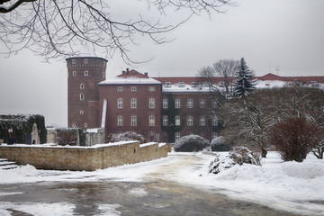 plants in courtyard in snow. Krakow, Poland