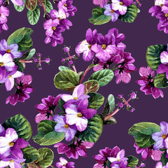 Seamless pattern of watercolor Saintpaulia flowers.