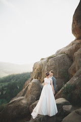 Kissing wedding couple staying over beautiful landscape