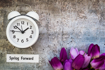 Daylight Savings Time Spring Forward concept top down view with white clock and purple tulips