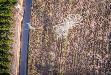 Aerial view of electrical tower and orange trees