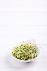 Mix of food sprouts - alfalfa, radish, clover in a bowl. Micro greens on white. Healthy eating.