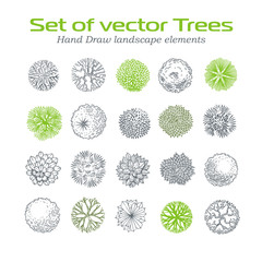 Different plants and trees vector set for landscape design