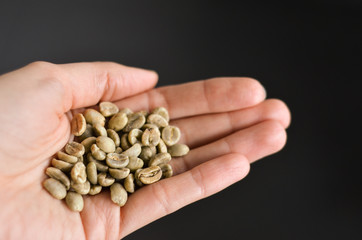 Fistful of raw green coffee beans on black background