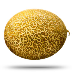 Cantaloupe melon isolated on white background. With clipping path.