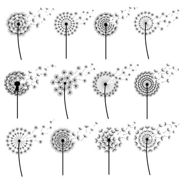 Set of stylized dandelions blowing isolated