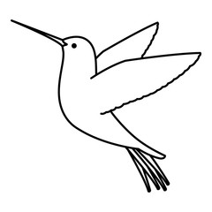 cute hummingbird flying icon vector illustration design
