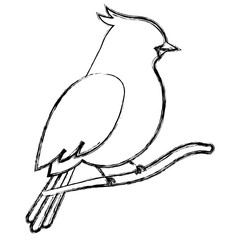 beautiful bird in branch tree decorative icon vector illustration design