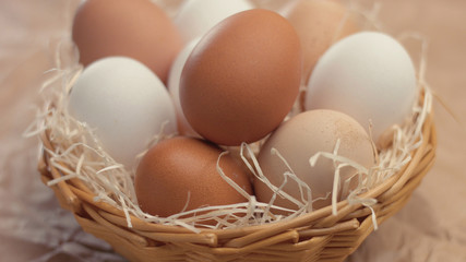 different eggs in basket. Small farm eco eggs