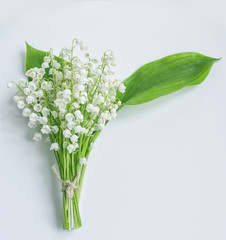 Obraz premium Lily of the valley flower