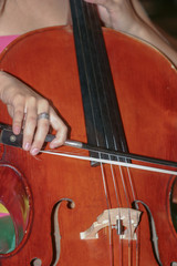 cello