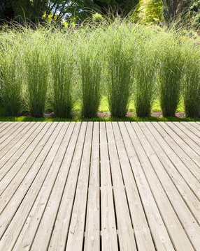 Exotische Gartenterrasse mit Chinagras