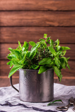 Fresh mint on rustic wooden background