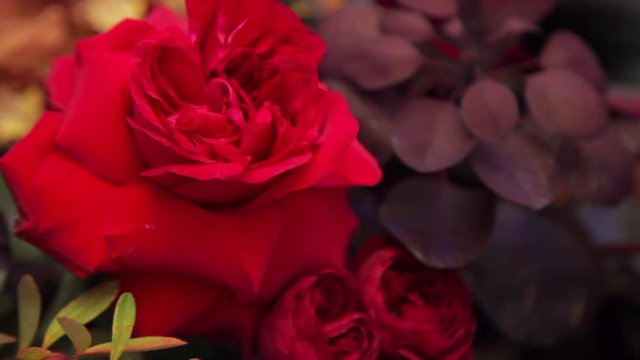 Bouquet of red flowers