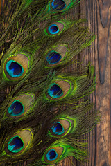 Peacock feathers decorate a vertically dark wooden brown Board