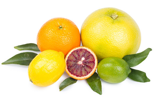 Isolated citrus fruits. Grapefruit, orange, lemon and lime isolated on white