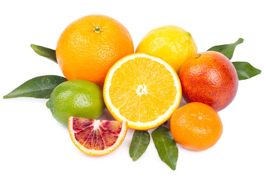 Isolated citrus fruits. Grapefruit, orange, lemon, lime  and tangerine isolated on white