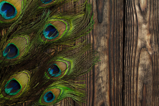 Fototapeta Peacock feathers decorate a vertically dark wooden brown Board