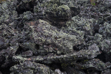 Frozen volcanic lava closeup, covered with green moss. Thousands of years after the eruption