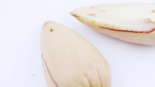 Purified ossicle of avocado