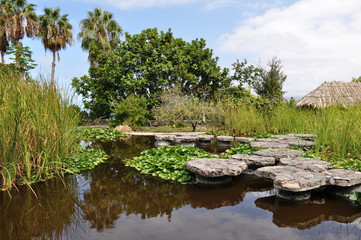 Fototapeta na wymiar Wassergarten teneriffa
