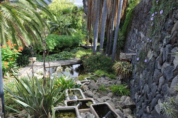 Landschaftsgarten teneriffa
