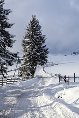 Snowy road