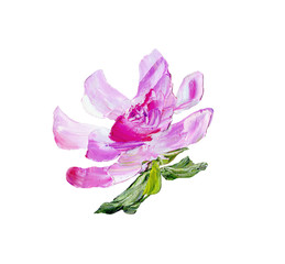 Hand painted modern style purple flower isolated on white background. Spring flower seasonal nature card. Oil painting