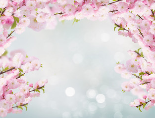 Fototapeta na wymiar Blossoming white tree Flowers