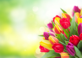 bouquet of yellow, purple and red tulips