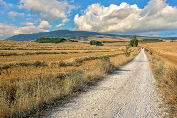 Fototapeta premium Way of Saint James in Navarre under blue sky