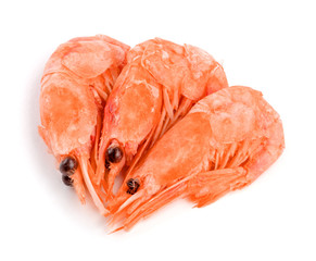 Red cooked prawn or shrimp isolated on white background