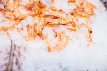 Obraz na płótnie Canvas Shrimp in ice on blur background , Prawns on Ice on fishermen market store shop