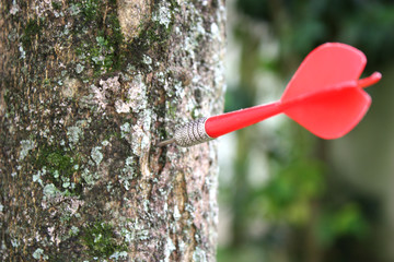 Dart on a tree.