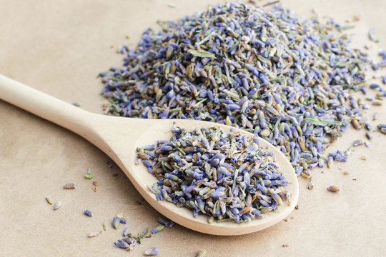 Fototapeta dry natural lavender flowers