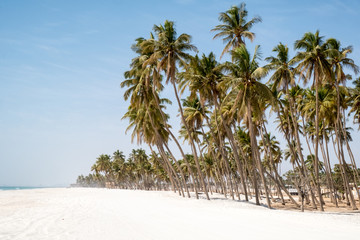 Beach of Salalah, Sultanate of Oman