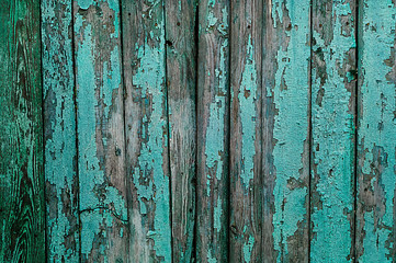 Fototapeta na wymiar wooden background with an old cracked turquoise texture, space for text