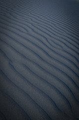 Naklejka na ściany i meble Dune landscape, La Pampa , Argentina