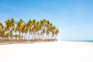 Beach of Salalah, Sultanate of Oman