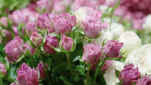 Close-up shot of a large bouquet of bright fresh pink roses in a flower shop. 4K