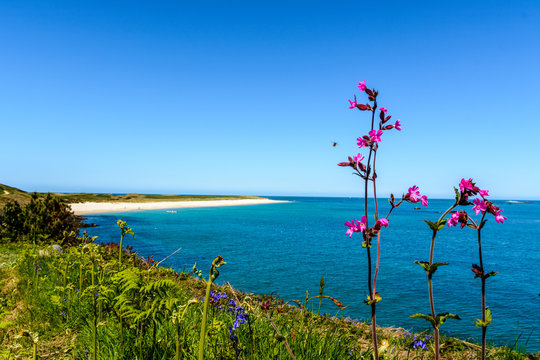 Herm Coast In Spring