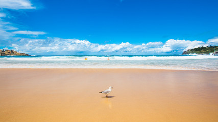 Bondi Beach in Sydney, Australia