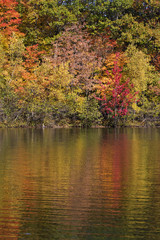 Fall colors in Quebec, Canada 