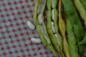 Beans. Phaseolus. Bean Seeds. Legumes. Kitchen. Recipes. Tablecloth. Before cooking. It is useful. Close-up. Horizontal photo