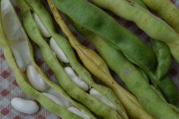 Beans. Phaseolus. Bean Seeds. Legumes. Kitchen. Tablecloth. Before cooking. Delicious. It is useful. Close-up. Horizontal