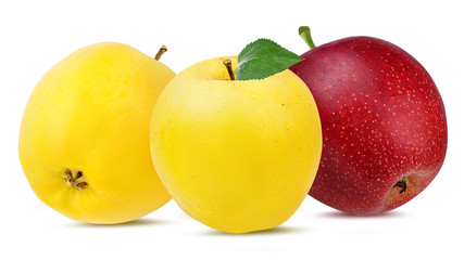 Fresh apple isolated on white background with clipping path