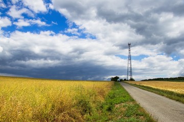 Road in rural landscape, road between fields.