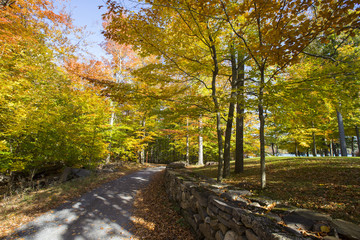 Fall colors in Quebec, Canada