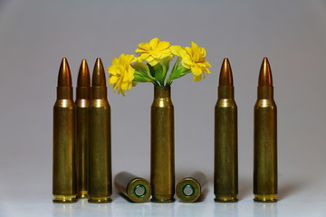 ukraine conflict , 223,s next to a yellow flower