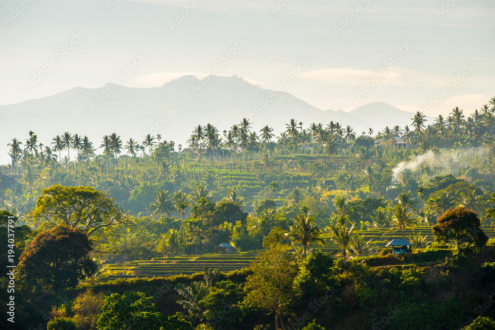 Canvas Prints morning in the mountains of lombok - indonesia.